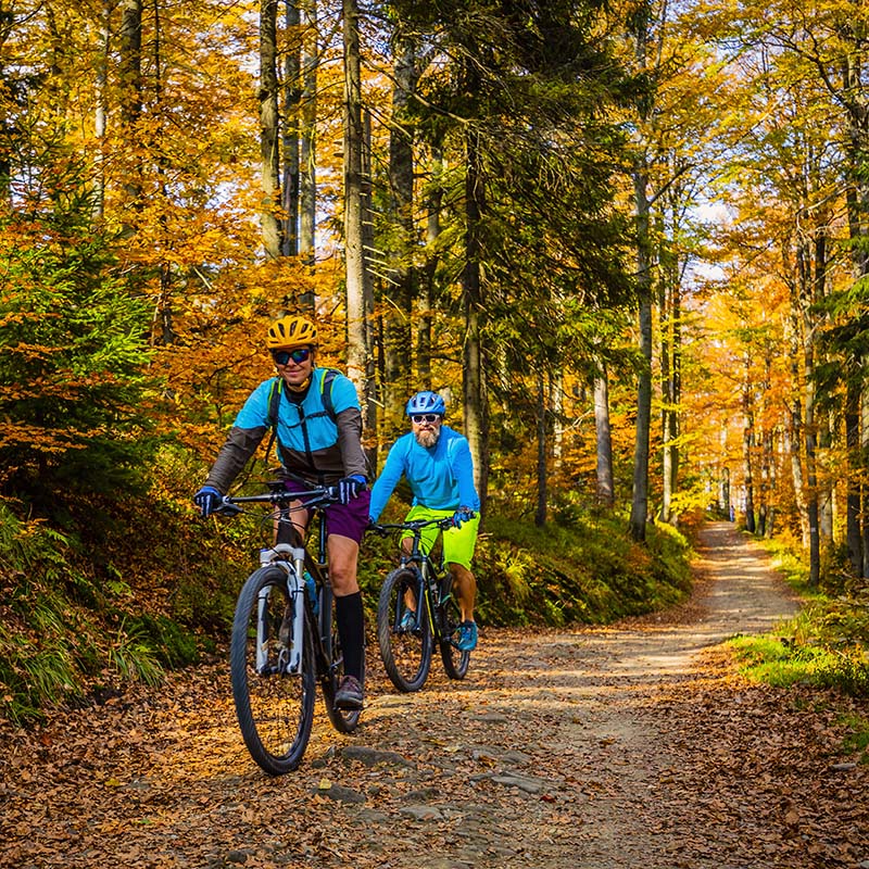 Prisank apartment Kranjska Gora biking